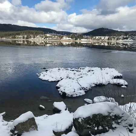 別荘 Schluchseehuus