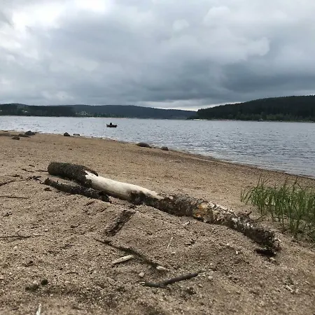 別荘 Schluchseehuus