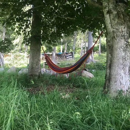 Ferienhaus Schluchseehuus