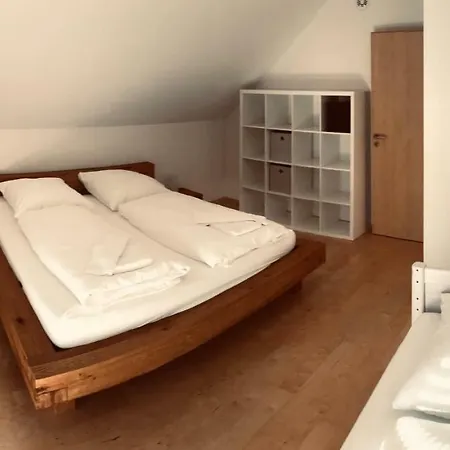 Schluchseehuus 別荘 シュルッフゼー