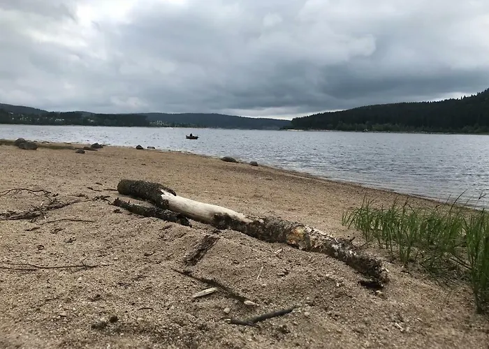 Semesterbostad Schluchseehuus