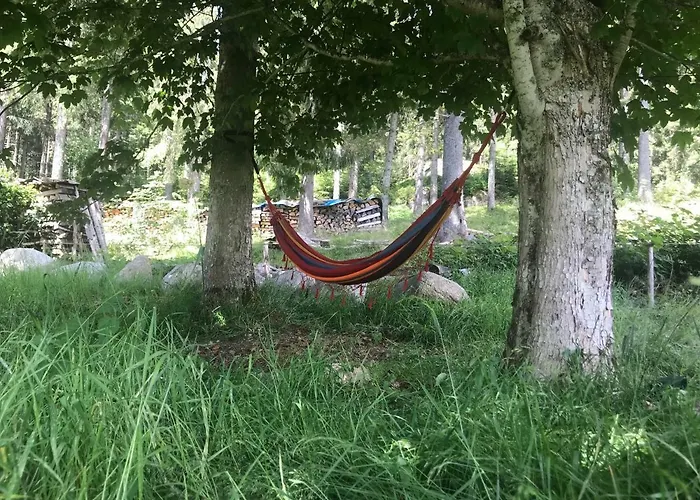 Semesterbostad Schluchseehuus